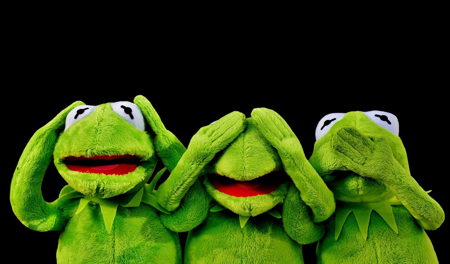 kermit-g30c36ce93_1920-1536x900.jpg